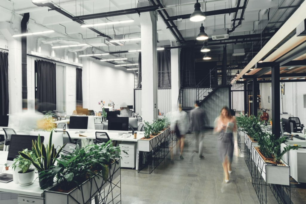 Office Based Fitouts to Transform Office, Retail & Commercial Spaces | ARTEIL
