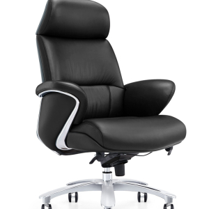 President Executive Chair