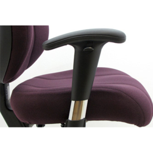 Chrome Adjustable Arms (Set of 2)