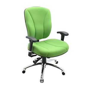 Gryphon Executive chair.