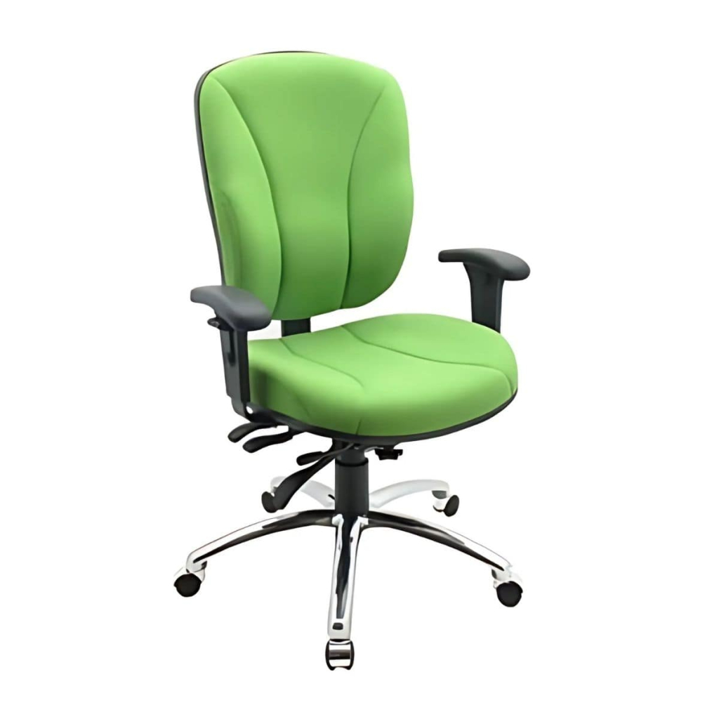 Gryphon MK1 - Government