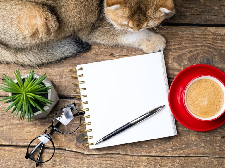 Top view of desk with cat, coffee, plant and notepad for home office ideas.