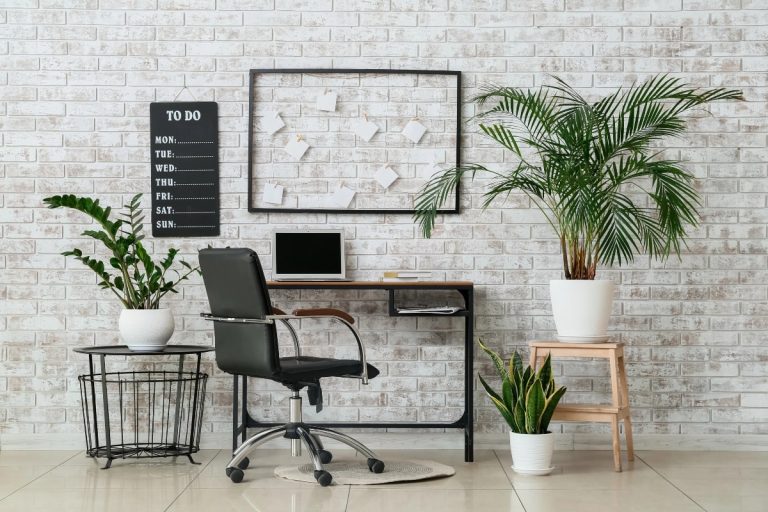 Modern home office setup with a black wide office chair, indoor plants, and minimalist decor against a white brick wall.