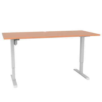 Adjustable Desks