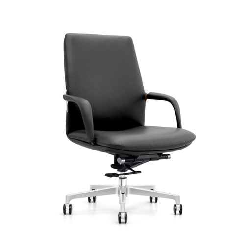 Mercury Low Back Executive Office Chair