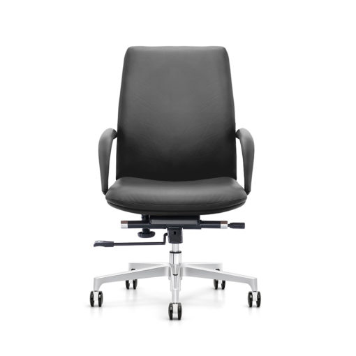 Mercury Low Back Executive Office Chair