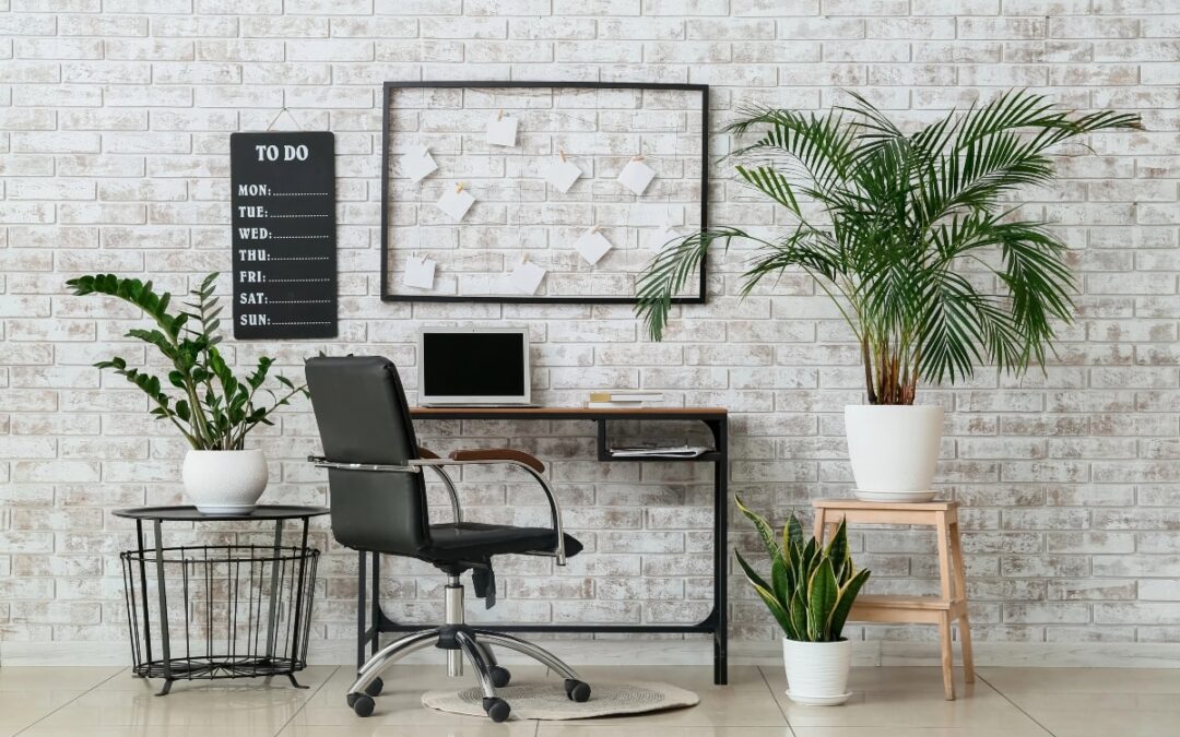 Are Wide Office Chairs More Comfortable Than Standard Chairs?