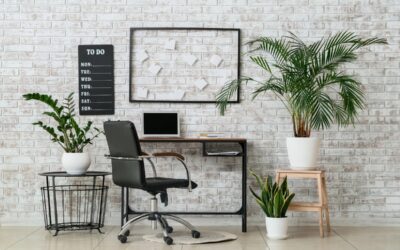 Are Wide Office Chairs More Comfortable Than Standard Chairs?